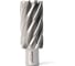 Сверло корончатое Magnitronic HSS (31х50 мм, Weldon19) DNHX40310 DNHX-40310 1