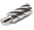 Сверло корончатое Magnitronic HSS (31х50 мм, Weldon19) DNHX40310 DNHX-40310 2