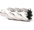 Сверло корончатое Magnitronic HSS (31х50 мм, Weldon19) DNHX40310 DNHX-40310 4