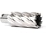 Сверло корончатое Magnitronic HSS (29х50 мм, Weldon19) DNHX40290 DNHX-40290 4