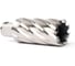 Сверло корончатое Magnitronic HSS (30х50 мм, Weldon19) DNHX40300 DNHX-40300 4