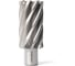 Сверло корончатое Magnitronic HSS (33х50 мм, Weldon19) DNHX40330 DNHX-40330 1