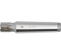 Фреза концевая с прямой пластиной (25х20х121 мм; КМ3; к/х; z5; ВК8) WOLFSTAR mc40013