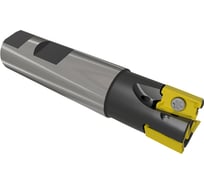 Фреза концевая 32 с механическим креплением 4гр пл-н LNKX 17T6 Z=3 ц/х Weldon=32 СОЖ AE490-R032.17.03.W32.C NOX Русский Инструмент ri.193.232