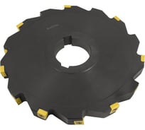 Фреза трехсторонняя 200х25х50 с механическим креплением тангенциально расположенных 4гр пл-н CNHQ 1606 Z=12 (2х6) AS390-200.25.06.D50 NOX Русский Инструмент ri.181.249