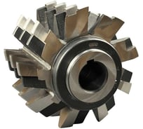 Фреза червячная цельная TORNERI M 16 225х225х50 мм (2510-4394) Р6М5 Т028178