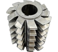 Фреза червячная цельная TORNERI M 10 150х170х50 мм (2510-4223) Р6М5 Т028173