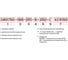 Сверло ООО "ОРИОН" 4,2 мм по металлу твердосплавное 5D монолитное спиральное DR0420-36-74-6-5D A10 2