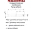 Резьбофреза ООО "ОРИОН" 6.5 мм по металлу твердосплавная монолитная грибковая 1 ряд зубьев HMP 08065F16L50 N60 P1.0-1.5 A10 3