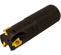 Фреза концевая Русский Инструмент 32 с механическим креплением 4гранных пластин LNKX 1204 Z=3 ц/х=32 СОЖ AE490-R032.12.03.d32.C NOX ri.193.222