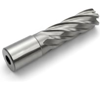 Сверло корончатое MetalMaster 21х50 мм M2 HSS Weldon19 23539