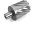 Сверло корончатое MetalMaster 50х50 мм M2 HSS Weldon19 23585 1