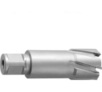 Сверло корончатое Ravic 31х55мм, TCT, Weldon 19 220.2031