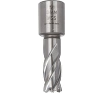 Сверло корончатое по металлу Extra Line (13x30 мм; HSS) DIAM 320282