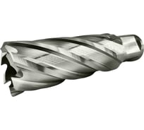 Сверло корончатое TIGER Cut Weldon 19 24х55 мм HSS 4012455