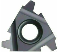 Пластина твердосплавная 22ER5.0TR DM215 PANDA CNC mi00060
