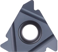 Пластина твердосплавная 22ER4.00ISO DM215 PANDA CNC mi00051