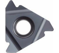 Пластина твердосплавная 22ER4.50ISO DM215 PANDA CNC mi00052