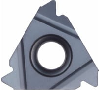 Пластина твердосплавная 22ER3.50ISO DM215 PANDA CNC mi00050