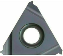 Пластина твердосплавная 16ER1.00ISO DM215 PANDA CNC mi00195