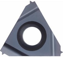 Пластина твердосплавная 11NR0.50ISO DM215 PANDA CNC mi00150