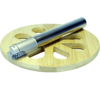 Фреза корпусная 300R C19-20-200-2T Prosaers 31587