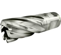 Сверло корончатое TIGER Cut Weldon 19 19х30 мм HSS 4011930