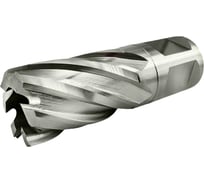 Сверло корончатое TIGER Cut Weldon 19 19х55 мм HSS 4011955