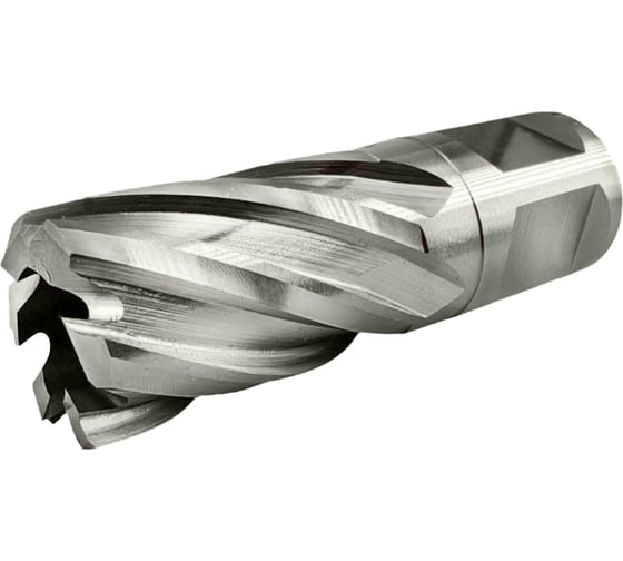 Сверло корончатое TIGER Cut Weldon 19 19х55 мм HSS 4011955 1