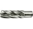 Сверло корончатое TIGER Cut Weldon 19 23х55 мм HSS 4012355 3