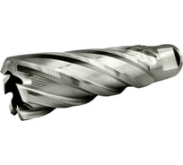 Сверло корончатое TIGER Cut Weldon 19 21х55 мм HSS 4012155