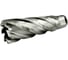 Сверло корончатое TIGER Cut Weldon 19 21х55 мм HSS 4012155 1