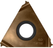 Пластина токарная сменная неперетачиваемая Carbon IT16IR100ISO6036 для точения внутренней резьбы 899065
