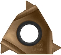 Пластина токарная сменная неперетачиваемая Carbon IT16IR300ISO1562 для точения резьбы 899034