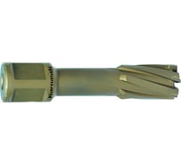 Сверло корончатое HARD-LINE (67х55 мм; Weldon 32) Karnasch 20.1316-67