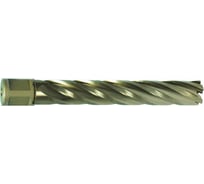 Сверло корончатое GOLD-LINE (32x110 мм; Weldon 19; HSS-XE) Karnasch 19 20.1280U-032
