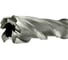 Сверло корончатое TIGER Cut Weldon 19 15х55 мм HSS 4011555 6
