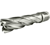Сверло корончатое TIGER Cut Weldon 19 17х55 мм HSS 4011755