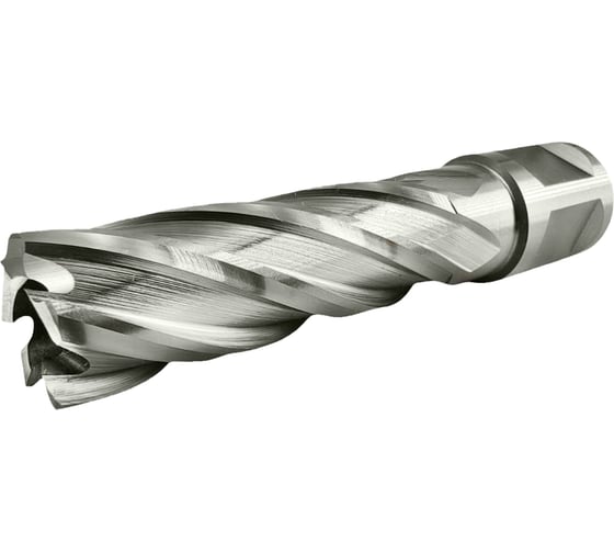 Сверло корончатое TIGER Cut Weldon 19 17х55 мм HSS 4011755 1