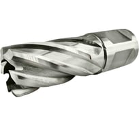 Сверло корончатое TIGER Cut Weldon 19 18х30 мм HSS 4011830