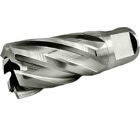Сверло корончатое TIGER Cut Weldon 19 20х30 мм HSS 4012030
