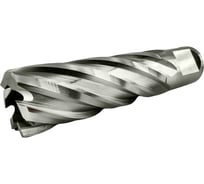 Сверло корончатое TIGER Cut Weldon 19 20х55 мм HSS 4012055