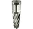 Сверло корончатое TIGER Cut Weldon 19 20х55 мм HSS 4012055 5