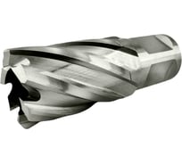 Сверло корончатое TIGER Cut Weldon 19 22х30 мм HSS 4012230