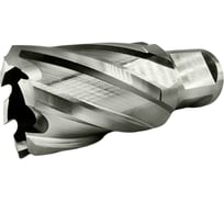 Сверло корончатое TIGER Cut Weldon 19 25х30 мм HSS 4012530