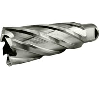 Сверло корончатое TIGER Cut Weldon 19 25х55 мм HSS 4012555