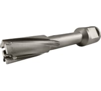 Сверло корончатое TIGER Cut Weldon 19 15х55 мм TCT 5011555