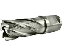 Сверло корончатое TIGER Cut Weldon 19 17х30 мм HSS 4011730