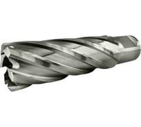 Сверло корончатое TIGER Cut Weldon 19 22х55 мм HSS 4012255