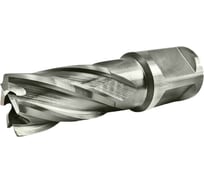Сверло корончатое TIGER Cut Weldon 19 16х30 мм HSS 4011630